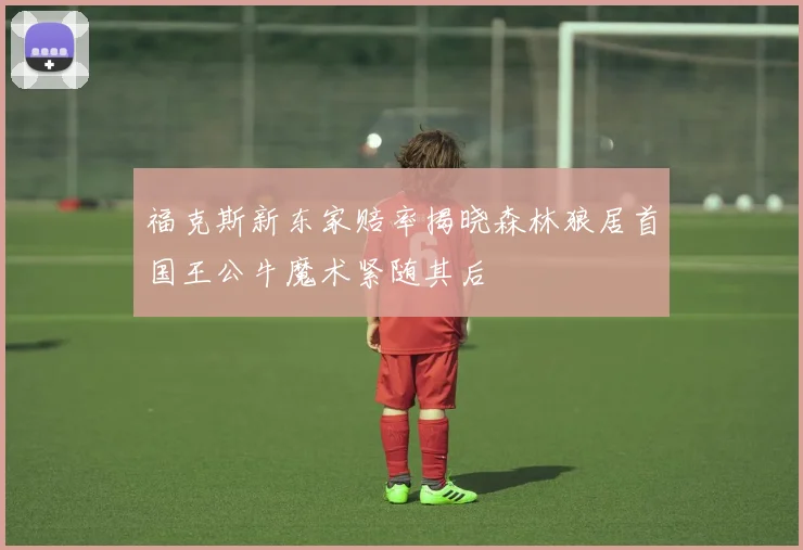 福克斯新东家赔率揭晓森林狼居首国王公牛魔术紧随其后